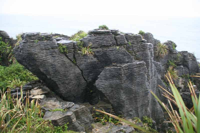 Nieuw-Zeeland 2011 - 1309